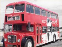 409PTA with Gray Line