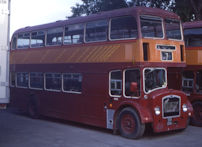 501OHU in 1982