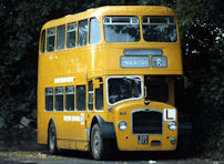 519BTA in 1981