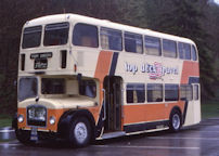 813MHW in 1982