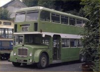 814SHW in NBC green livery with Flora