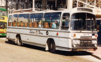 AFJ693T with Silver Fern