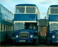 AGM686B with Bingorama