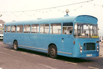 AHT206J in 1999