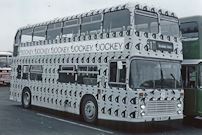 AHW201V in Jockey Shorts advertising livery AHW201V in Jockey Shorts advertising livery