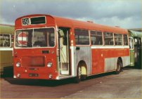 AMO238J in 1977