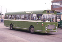BCG101J in 1973