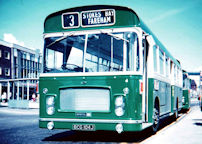 BCG104J in 1971