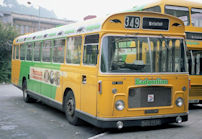 DAO293K in Badgerline livery