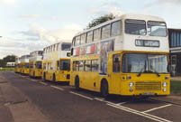 DNG232T in Nelson yellow and white livery