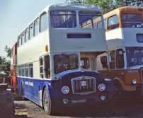 DNU685C with Morris