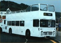 Allover white livery