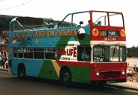 Sea Life advert with East Yorkshire livery