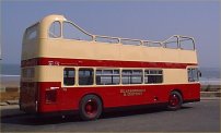 Rear view of East Yorkshire livery