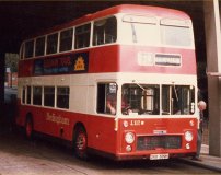 DRB309H with Hedingham