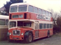 FLJ154D in 1987