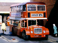 FLJ156D in 1975