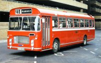 GCL346N in NBC red livery