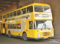 GGM108W in 1987