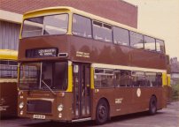 GHB84W in 1984