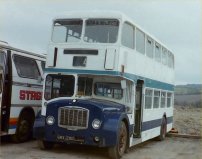 GRX129D with Cleverley
