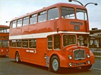 HAE275D in NBC red  livery