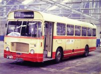 JEH187K with Excelsior