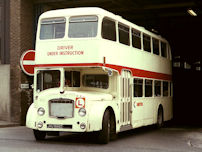 JNU988D in initial United training livery