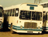 LDV461F in Tally Ho! livery