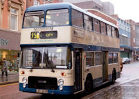 LEU255P in 1994