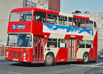 LEU258P in 1993