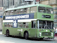 LEU258P in 1984