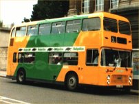LEU259P with Badgerline