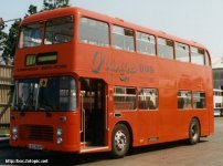 LEU262P in Orange Bus livery