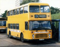 LPF594P in 1988