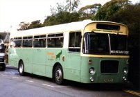 LRN323J with Mountain Goat
