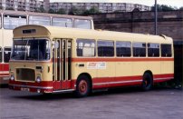 LTG35L with Excelsior