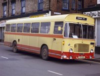 LTG37L with Excelsior