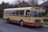 LTG41L with Excelsior