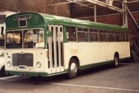 MAE29F with Weston Carnival Club