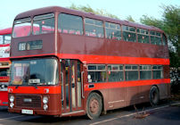 MEL558P with Beeston