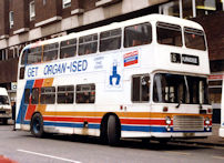 NEL119P in 1990