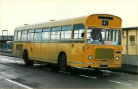 NHU191F with Nelson