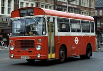 OJD16R in London Transport livery