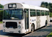 OJD84R in allover white with Tally Ho!