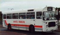 OJD95R with White Ribbon Coaches