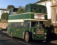 OTT11 in Tilling green as tree lopper