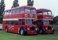 OWX175 with Wicks Coaches