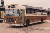 PHN178L in 1985