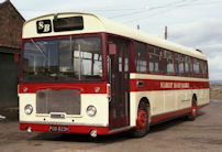 POD823H with Scarlet Band